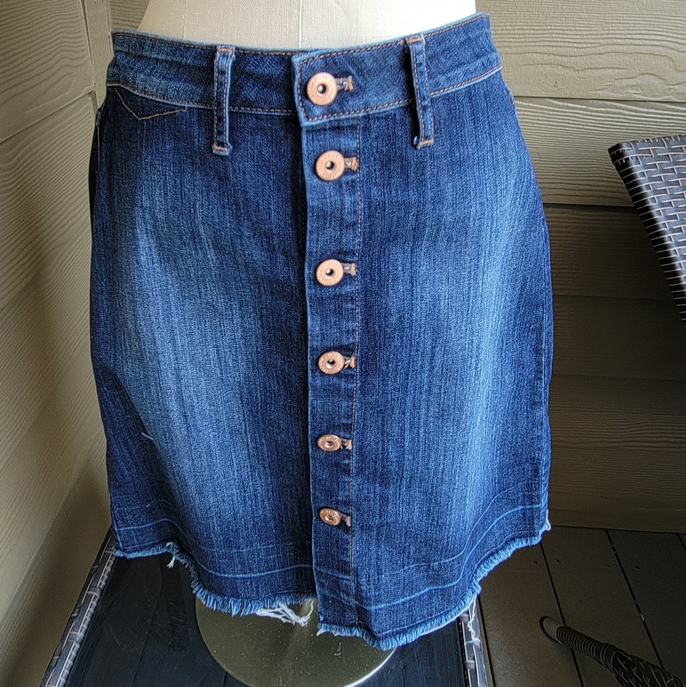 Denim Skirt from Articles of Society